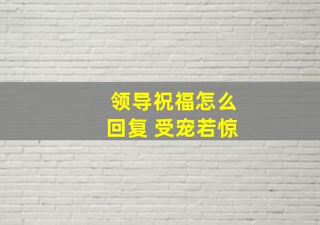 领导祝福怎么回复 受宠若惊